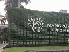 -三亚湾红树林度假世界(木棉酒店)