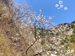 -黑龙潭风景区