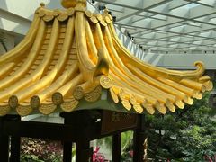 -广州白天鹅宾馆