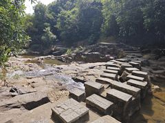 -广州白江湖森林公园