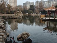 -西苑公园
