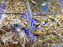 -高佳庄·舟山海鲜(海景旗舰店)