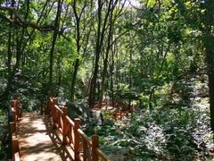 -大岭沟猕猴桃谷风景区