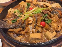 -老板恋上鱼(印象城店)