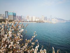 -黑石礁公园