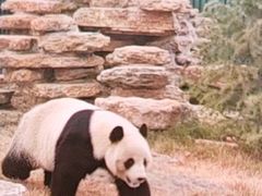-济南野生动物世界