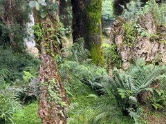 -昆明植物园