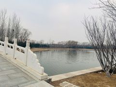 -大兴滨河森林公园