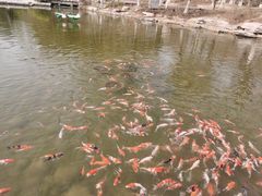 -河北省园博园