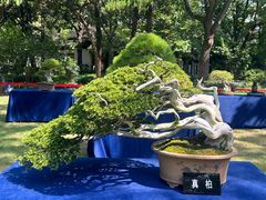 -汇龙潭