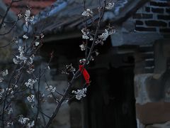 -威海大乳山景区