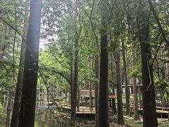 -波尔登森林公园