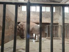 -石家庄市动物园