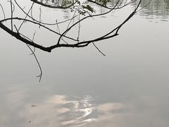 -东湖落雁景区