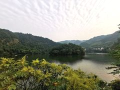 -临江宴餐厅·桐庐菜(富春江店)