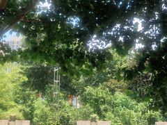 -武汉市第四中学