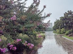 -黄兴公园