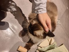 -Estaeslavida分享茄雪茄吧(亿彩购物中心店)