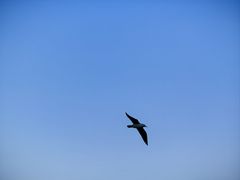 -天津东丽湖风景区