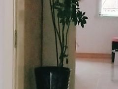 -大自然花鸟鱼虫市场
