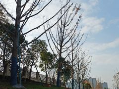 -杭州学军中学海创园学校
