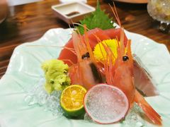 -KITON喜豚(清晖园店)