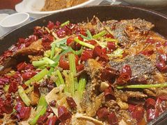-老板恋上鱼(高新万达店)
