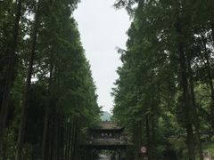 -青城山