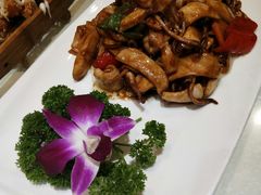 八爪鱼-阿巧一号私房菜(止园路店)