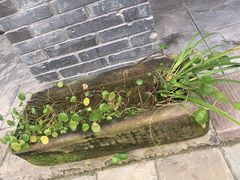 -磁器口古镇