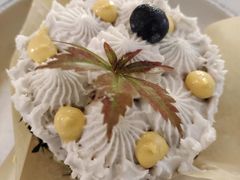 -野草莓自由市场