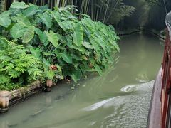 -同里国家湿地公园