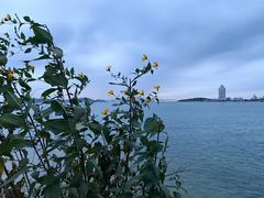 -青岛海滨风景区