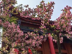 -黔灵山公园