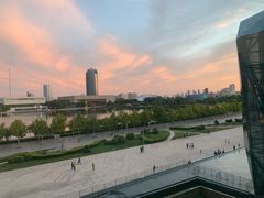 -羲和雅苑•北京烤鸭(乐园道万象城店)