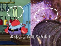 -沈阳海洋探索中心