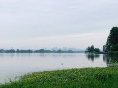 -东湖落雁景区