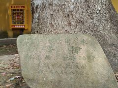 -兴福禅寺
