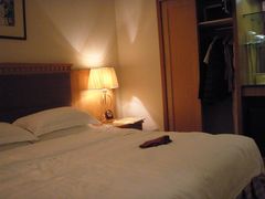 PA151564-成都绿洲大酒店(春熙路太古里店)