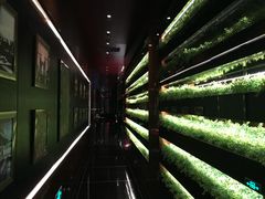 餐具摆设-L'ATELIER de Joel Robuchon(外滩18号店)