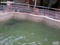 -绿色时代大酒店