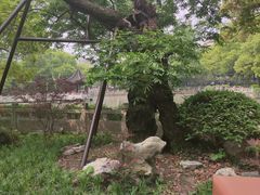 -汇龙潭
