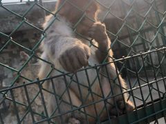 -宿豫区运河湾森林动物园