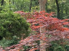 -棒棰岛宾馆景区