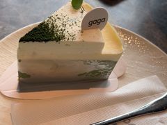 -gaga(北京新中关购物中心店)