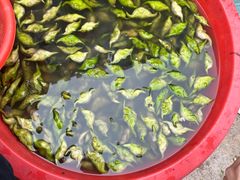 -梁子岛生态旅游区