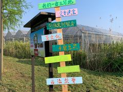 -广富林郊野公园
