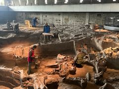 -自贡恐龙博物馆