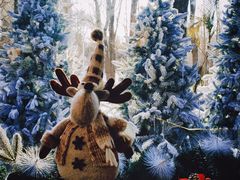 -长白岛森林公园