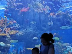 -多彩贵州城极地海洋世界